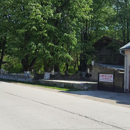 Willa Casa Borcean Sasca Montană Zewnętrze zdjęcie