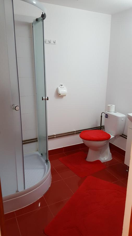 Willa Casa Borcean Sasca Montană Zewnętrze zdjęcie