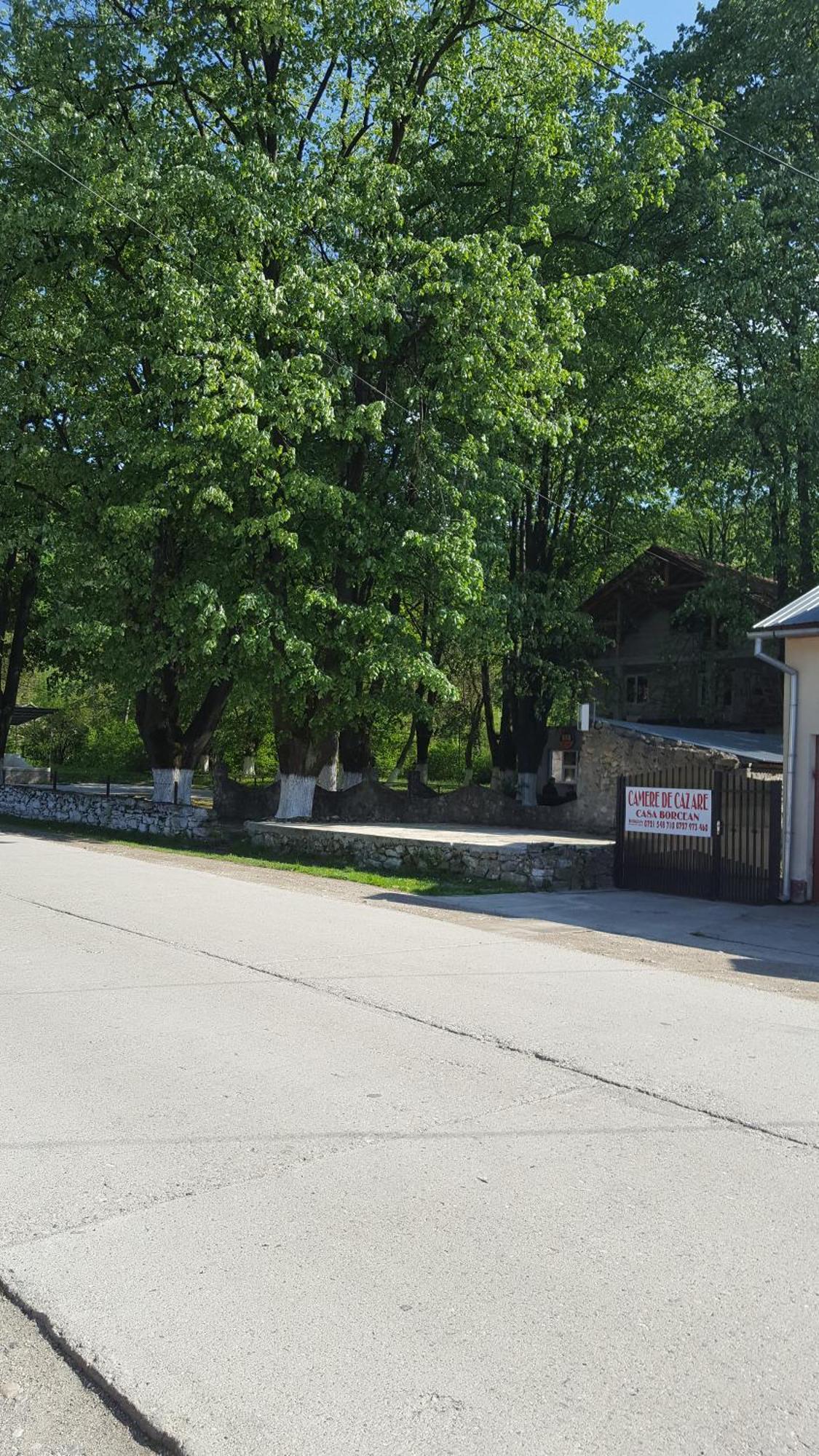Willa Casa Borcean Sasca Montană Zewnętrze zdjęcie